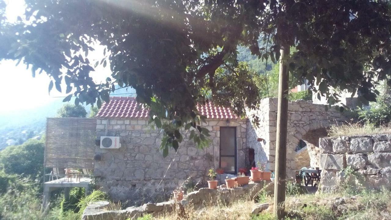 Cottage Melita The Apartment For Animal Lovers Babino Polje Eksteriør bilde