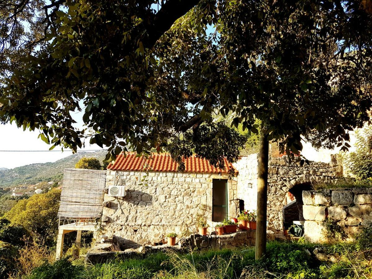 Cottage Melita The Apartment For Animal Lovers Babino Polje Eksteriør bilde